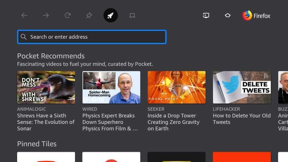 fire tv browser