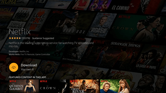 How to Install Netflix on FireStick within 1Minute (2023)