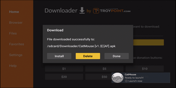 Step-17-how-to-install-catmouse-apk-on-firestick