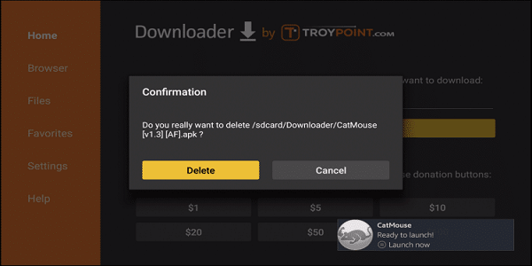 Step-18-how-to-install-catmouse-apk-on-firestick