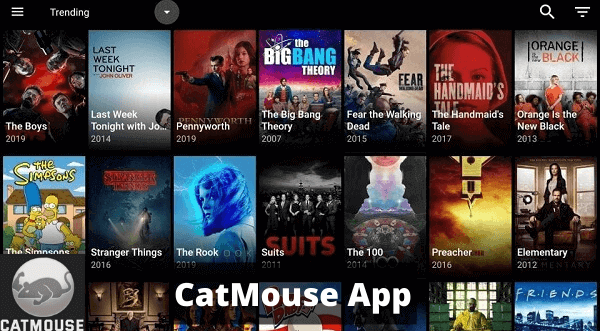 catmouse-apk-on-firestick