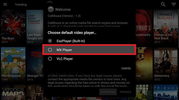 step-2-how-to-use-catmouse-apk-on-firestick