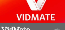 VidMate on FireStick: Watch Indian TV Programs For Free