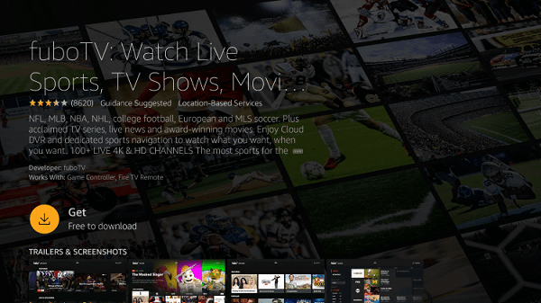 How to Watch NFL on Roku, Fire TV Stick, and Smart TV without Cable -  TechWiser