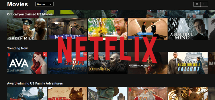 netflix on amazon fire stick