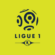 How to Watch France Ligue 1 Football on FireStick (March 2023)