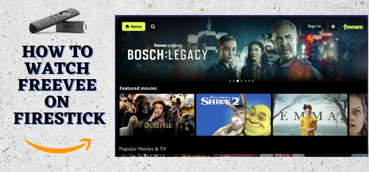 How-to-Watch-FreeVee-on-Firestick
