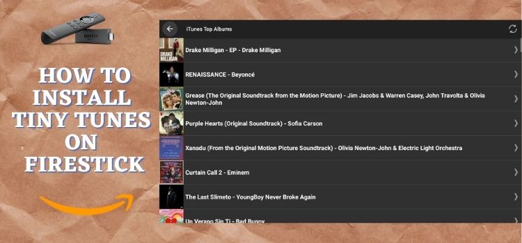 How-to-Install-Tiny-Tunes-on-FireStick