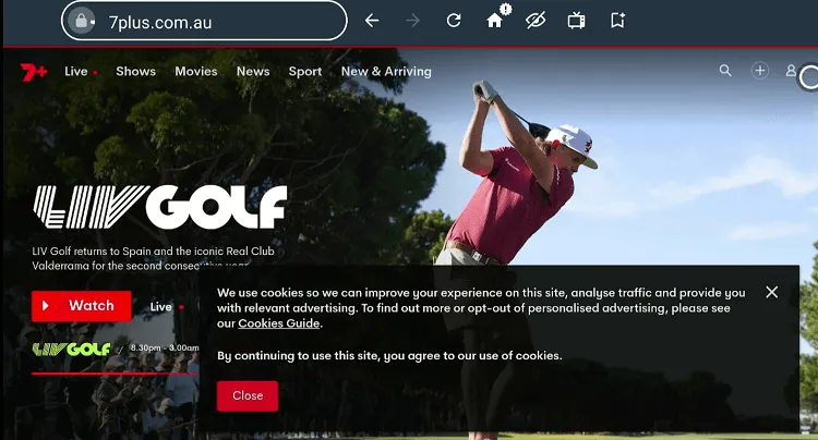 watch-ashes-series-on-firestick-using-browser-13