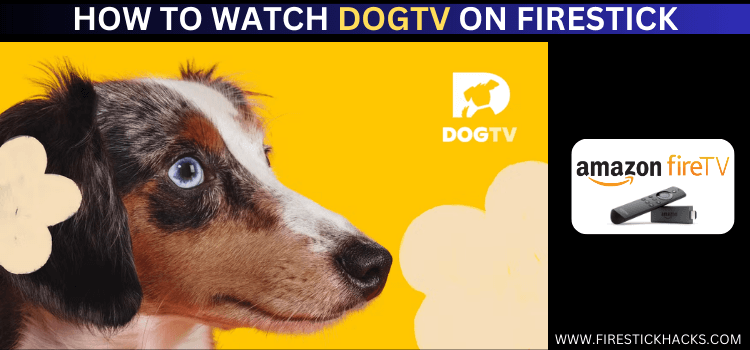 WATCH-DOGTV-ON-FIRESTICK