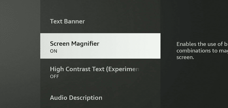 Use-Magnifier-to-Enlarge-Pictures-or-Words
