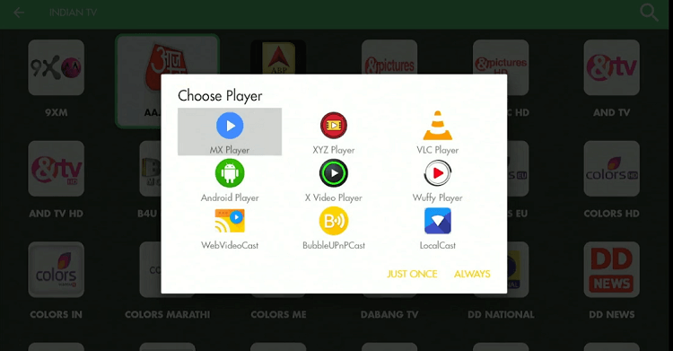 Watch-Indian-TV-Channels-on-FireStick-using-Rapid-Streamz-App-36