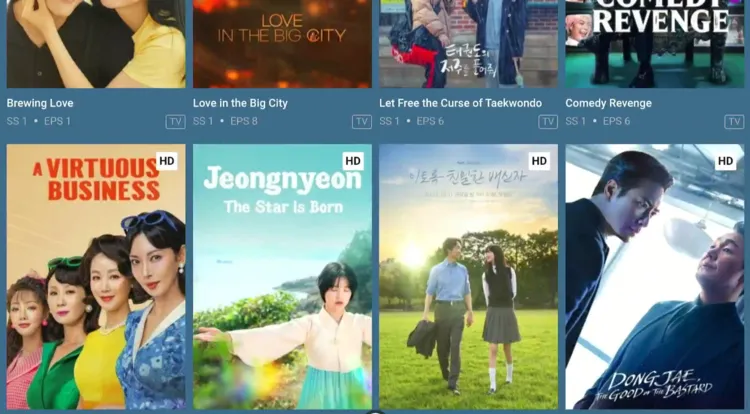 watch-korean-dramas-on-firestick-using-amazon-silk-browser-17