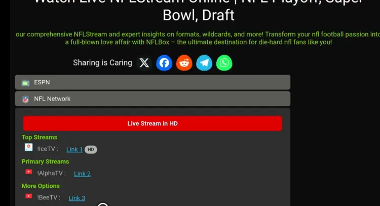 watch-super-bowl-on-firestick-using-amazon-silk-browser-16