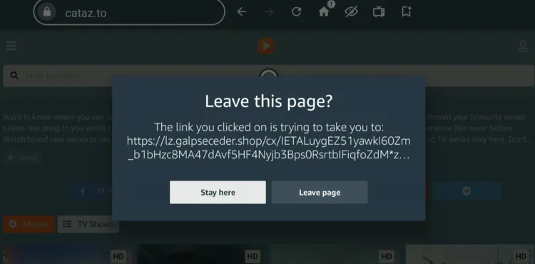watch-90-day Fiancé-Before-the 90-days-on-firestick-using-browser-14