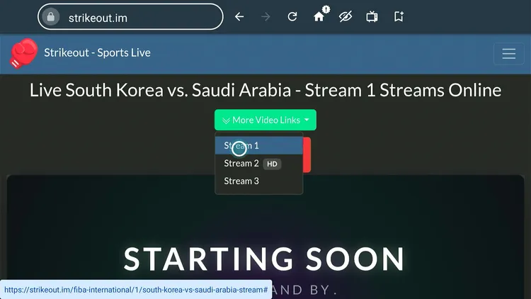 watch-FIBA-Basketball-World-Cup-on-Firestick-using-browser-20