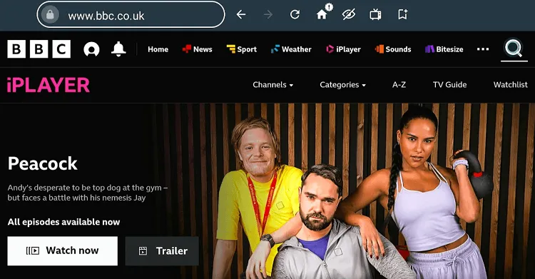 watch-UEFA-Women's-Euro-Cup-on-firestick-using-browser-15