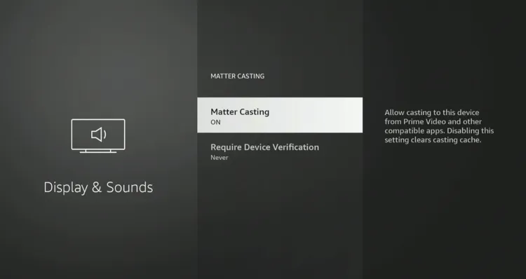 how-to-use-matter-casting-on-firestick-4