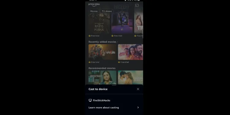 how-to-use-matter-casting-on-firestick-8