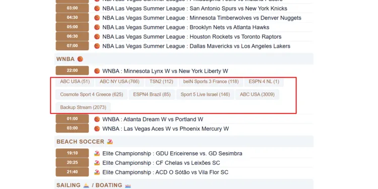 watch-WNBA-on-FireStick-using-browser-15