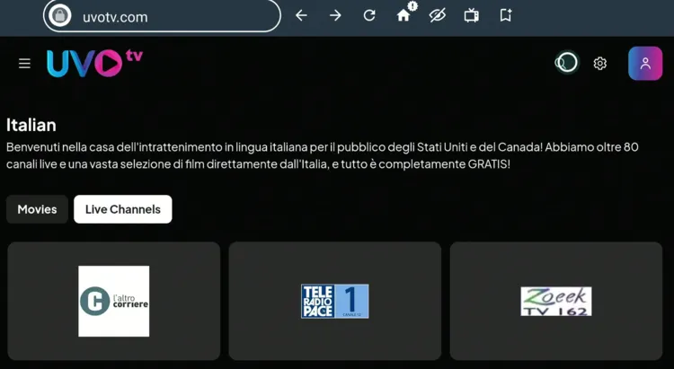 watch-italian-channels-on-firestick-using-amazon-silk-browser-13