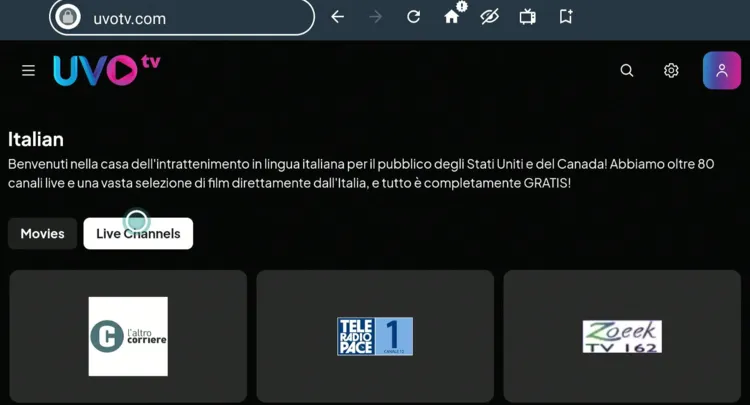 watch-italian-channels-on-firestick-using-amazon-silk-browser-15