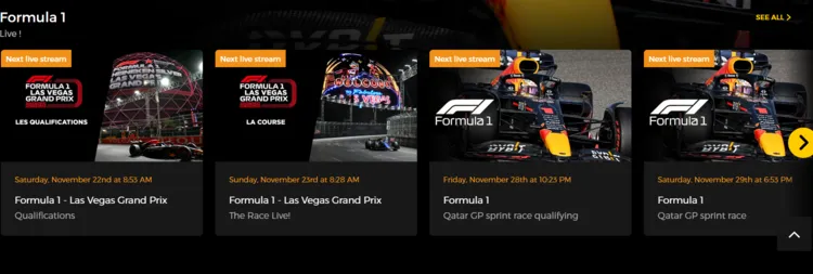 watch-las-vegas-GP-on-firestick-using-browser-16