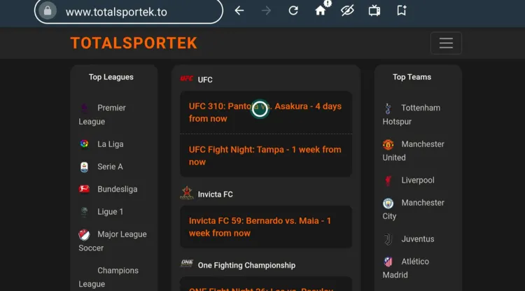 watch-ufc-310-on-firestick-using-amazon-silk-browser-16