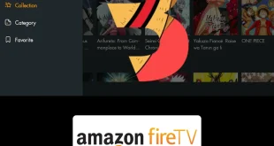 HOW-TO-INSTALL-BEEANIME-ON-FIRESTICK