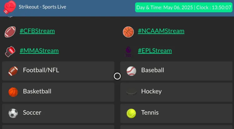 watch-Serie-A-on-firestick-using-browser-13