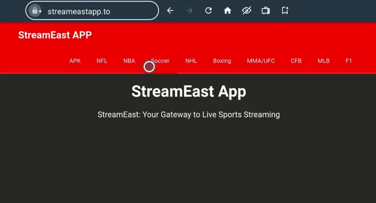watch-UEFA-Champions-League-on-firestick-using-browser-13