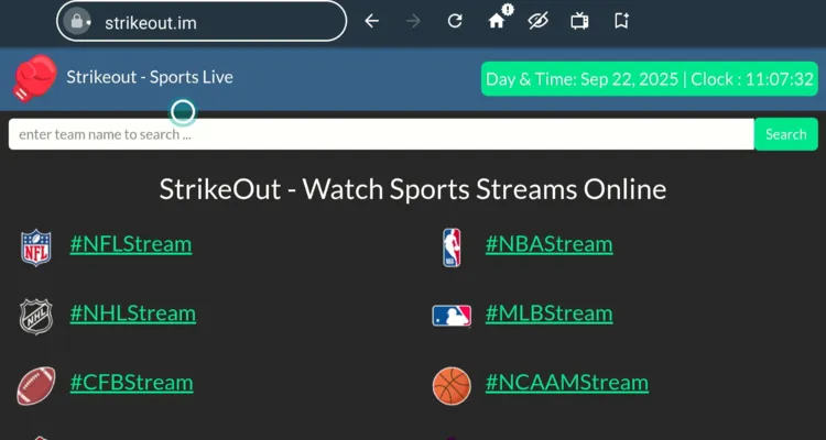 watch-nhl-on-firestick-using-browser-13