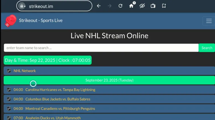 watch-nhl-on-firestick-using-browser-14