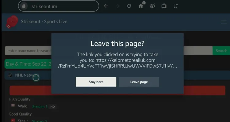 watch-nhl-on-firestick-using-browser-15