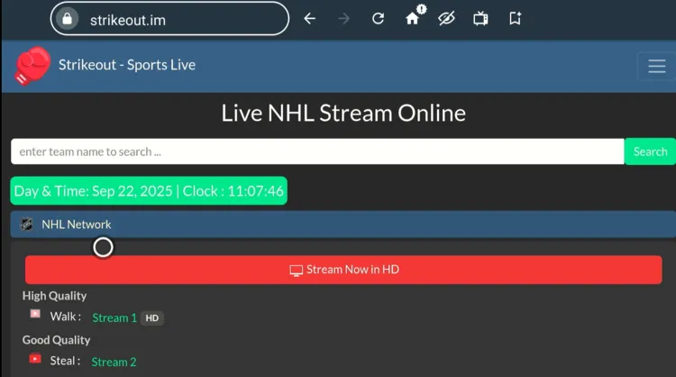 watch-nhl-on-firestick-using-browser-16