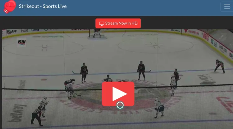 watch-nhl-on-firestick-using-browser-17