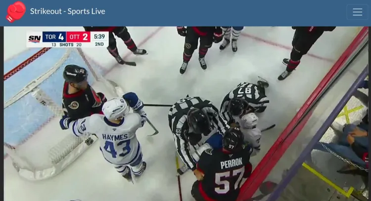 watch-nhl-on-firestick-using-browser-18