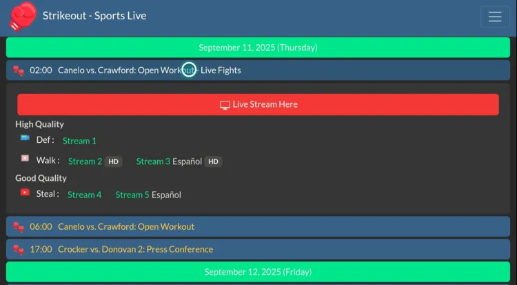 watch-Crawford-vs-Canelo-on-firestick-using-browser-14