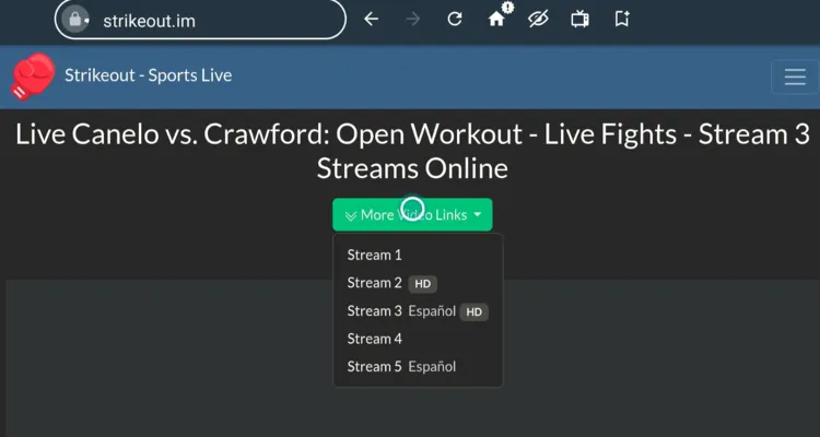 watch-Crawford-vs-Canelo-on-firestick-using-browser-15