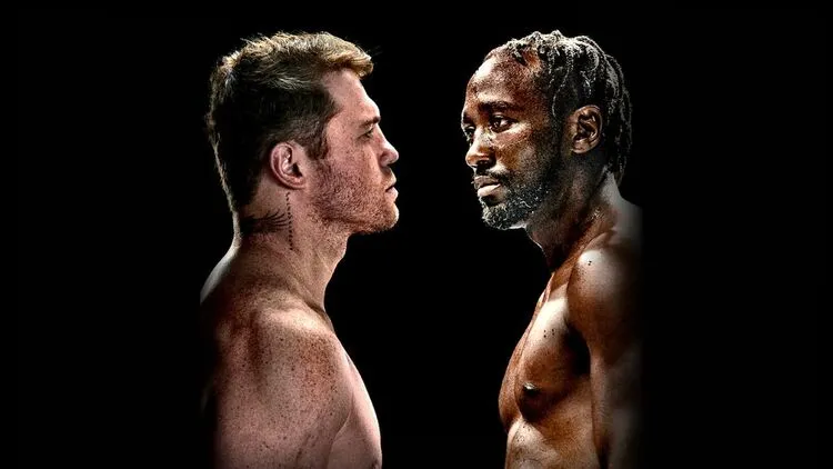 watch-Crawford-vs-Canelo-on-firestick-using-browser-16