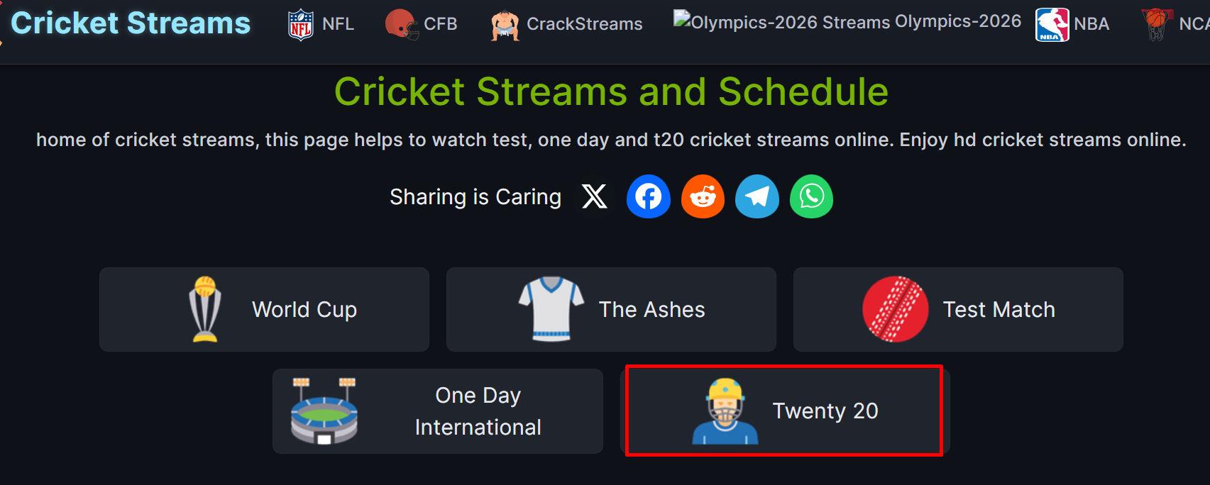 watch-pak-vs-ind-browser-13