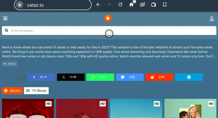 watch-stranger-things-on-firestick-using-browser-13
