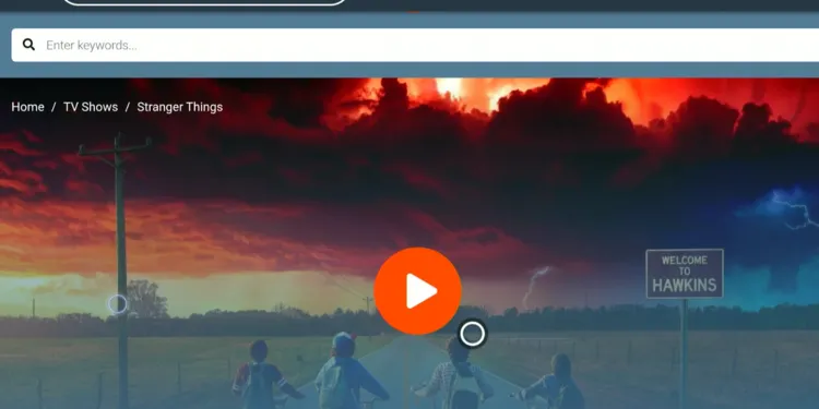 watch-stranger-things-on-firestick-using-browser-18