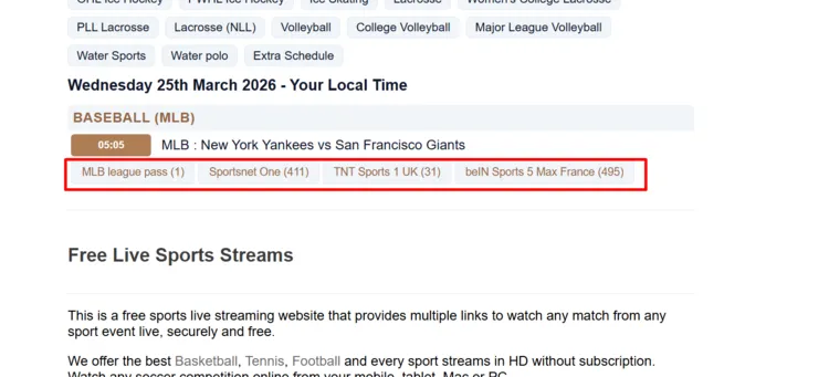 watch-mlb-on-firestick-using-browser-15