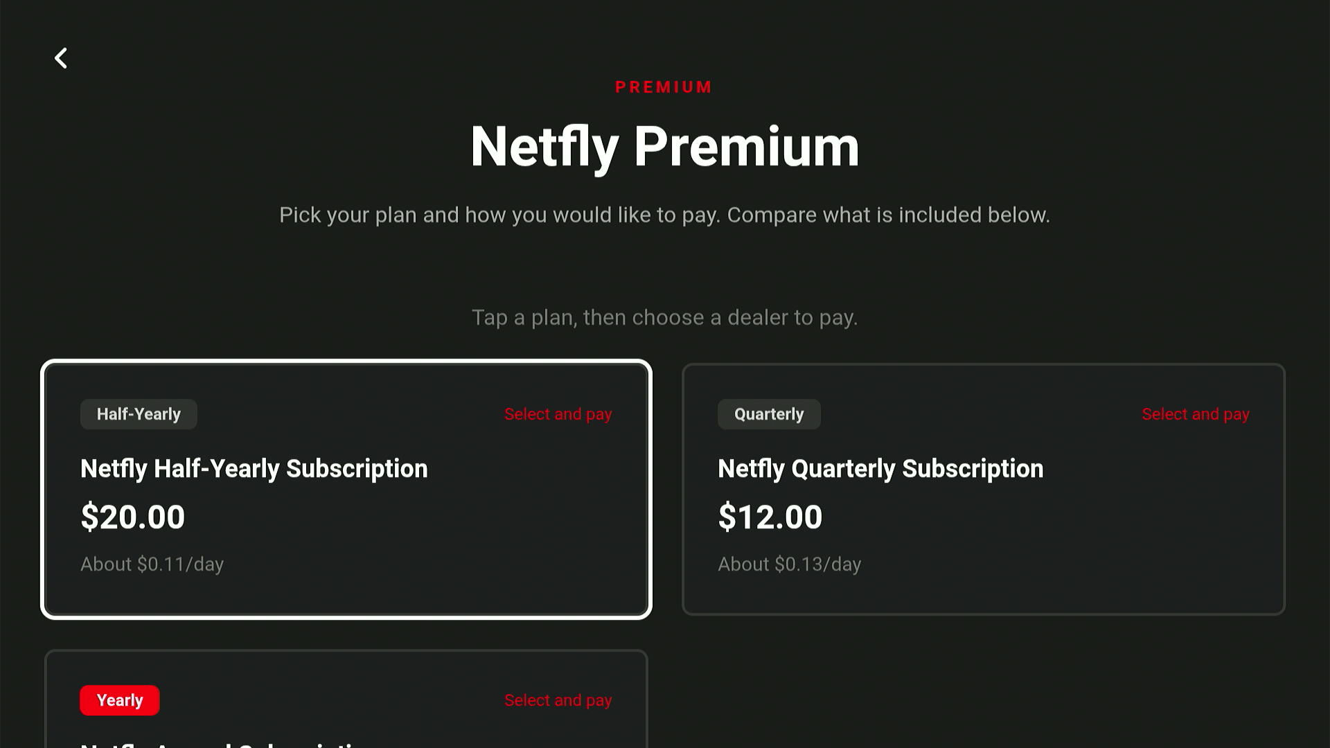 get-netfly-subscription-2