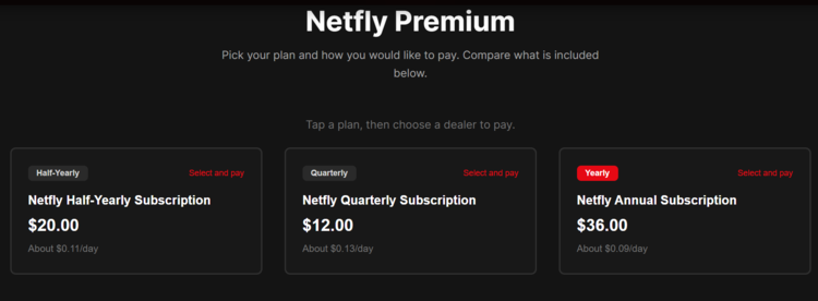 use-netfly-on-firestick-15