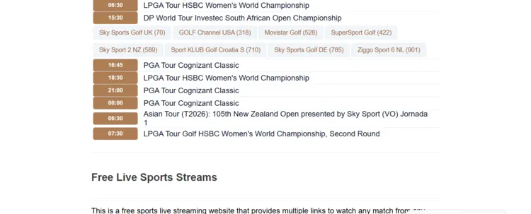 watch-golf-live-on-firestick-using-browser-15