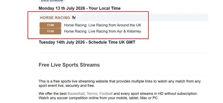 watch-horse-racing-on-firestick-using-browser-14
