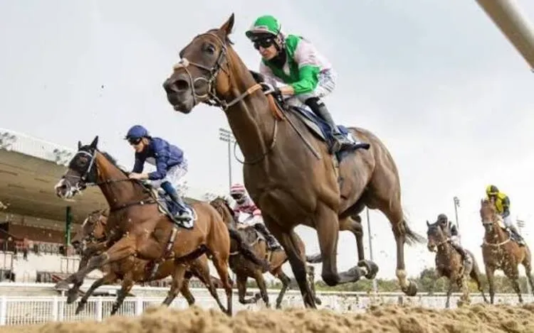 watch-horse-racing-on-firestick-using-browser-16
