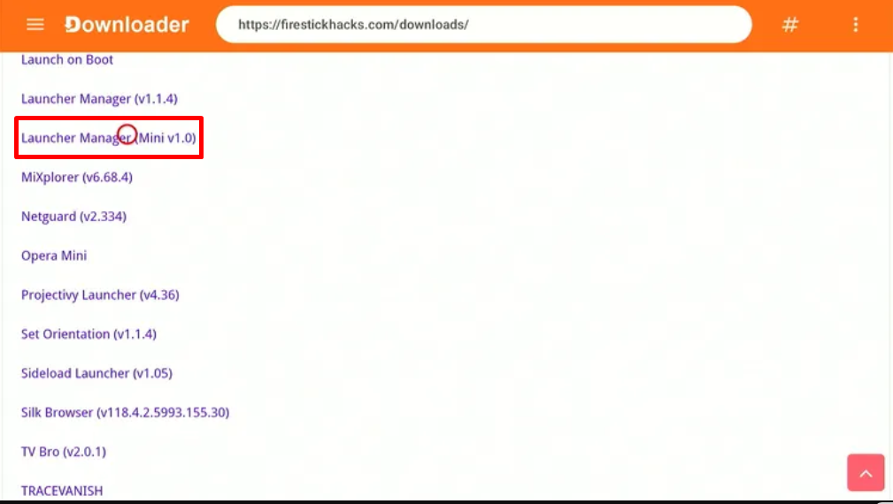 install-launcher-manager-mini-on-firestick-21